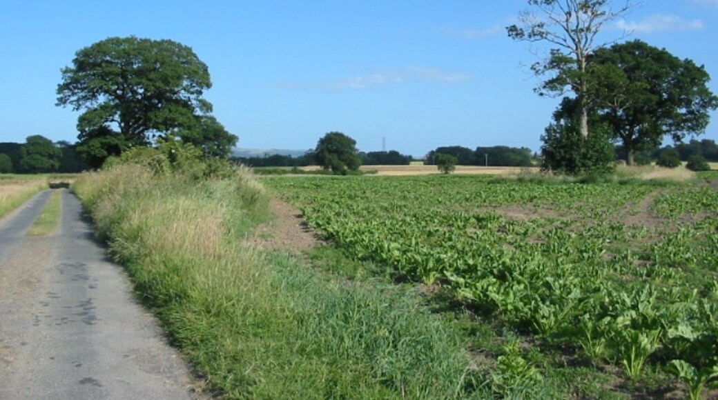 Photo "Harton" by Phil Catterall (CC BY-SA) / Cropped from original