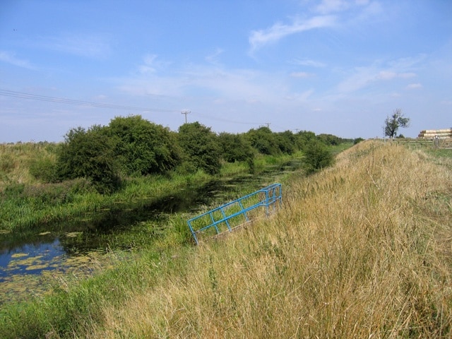 Foto “Quadring” tomada por Rodney Burton (CC BY-SA); recorte de la original