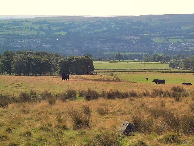 Foto “Weston” tomada por David Spencer (CC BY-SA); recorte de la original