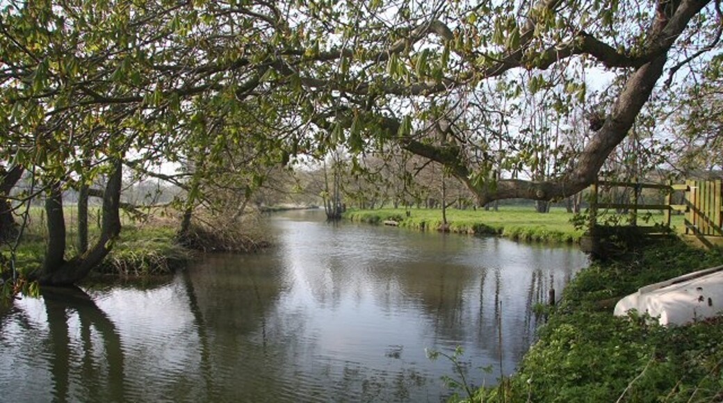 Photo "Weybread" by Bob Jones (CC BY-SA) / Cropped from original