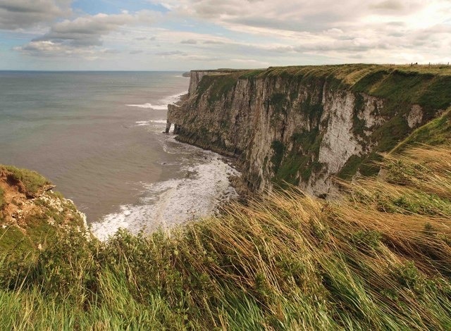 Bempton cliffs, Bempton, East Riding of Yorkshire, England. Looking towards Scale Nab.