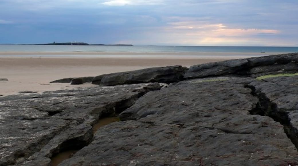 Photo "Ross Back Sands Beach" by Nigel Mykura (CC BY-SA) / Cropped from original