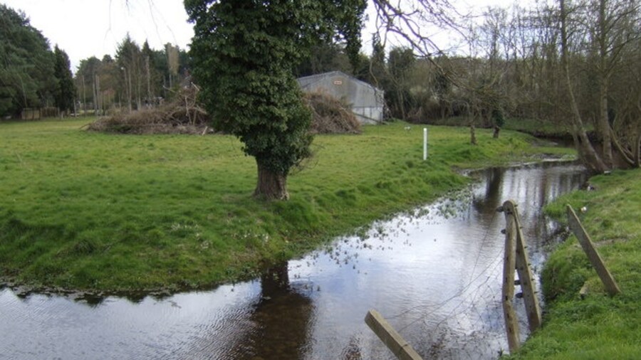 Photo "Stream at Mundford This stream drains the area to the east of Mundford around West Tofts and Lynford, flowing under the A1065 to join the Wissey about a quarter of a mile behind the camera." by Jonathan Billinger (Creative Commons Attribution-Share Alike 2.0) / Cropped from original