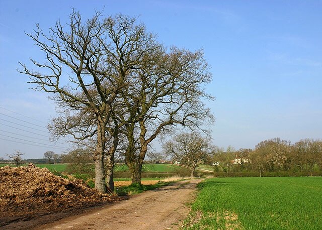 Foto „Hillesden“ von Martin Loader (CC BY-SA)/zugeschnittenes Original