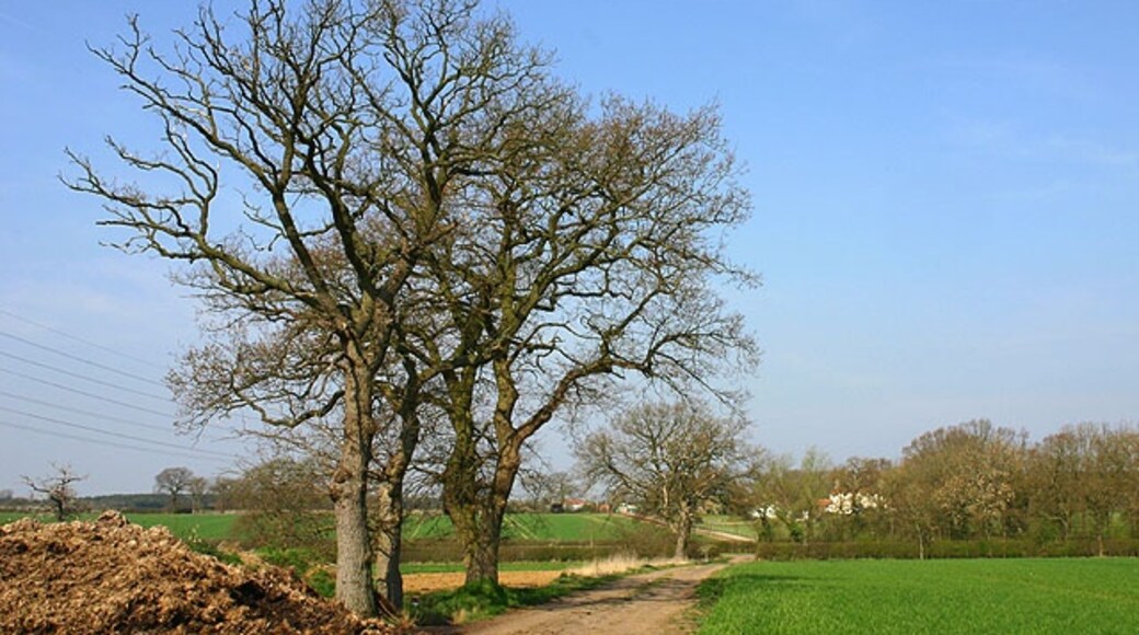 Foto „Hillesden“ von Martin Loader (CC BY-SA)/zugeschnittenes Original