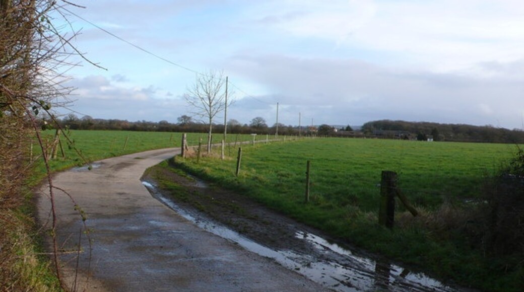 Foto "Lydlinch" por Nigel Mykura (CC BY-SA) / Recortada de la original