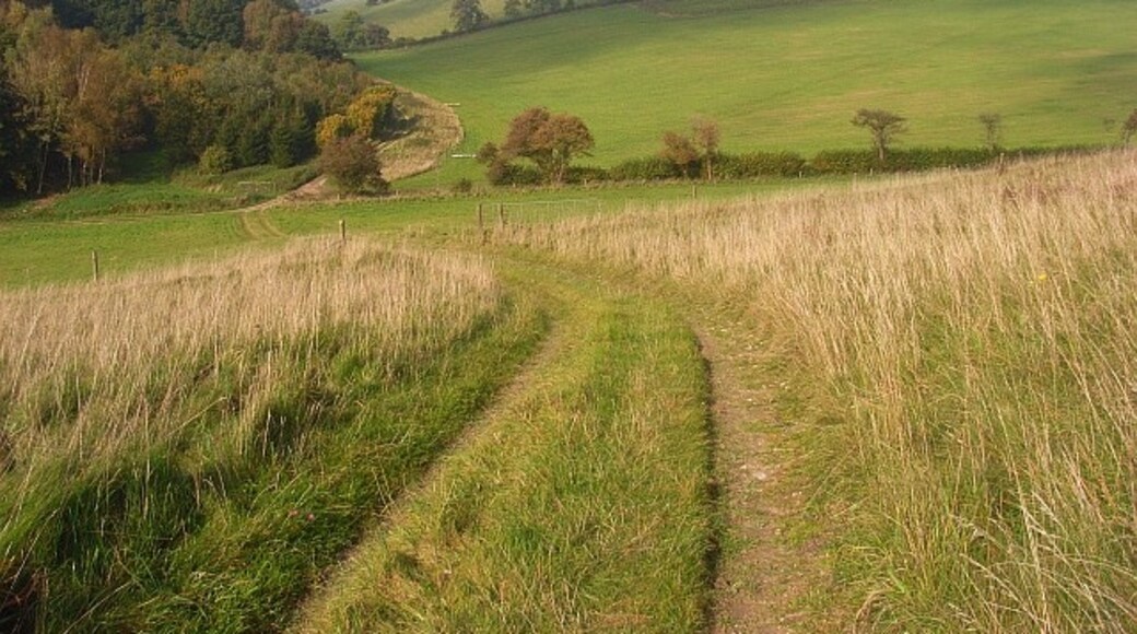 Foto "Buttermere" por Andrew Smith (CC BY-SA) / Recortada de la original