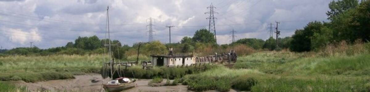 Photo "Nature taking over Two derelict boats that are gradually being taken over by the salt marsh plants" by Paul Dodd (Creative Commons Attribution-Share Alike 2.0) / Cropped from original