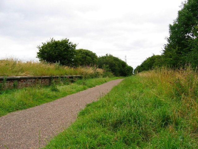 Foto “Swine” tomada por Stephen Horncastle (CC BY-SA); recorte de la original