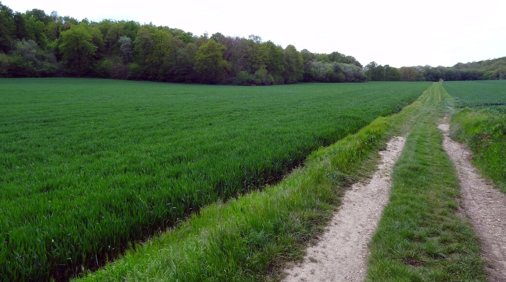 Photo "Boncourt" by X-Javier (CC BY-SA) / Cropped from original