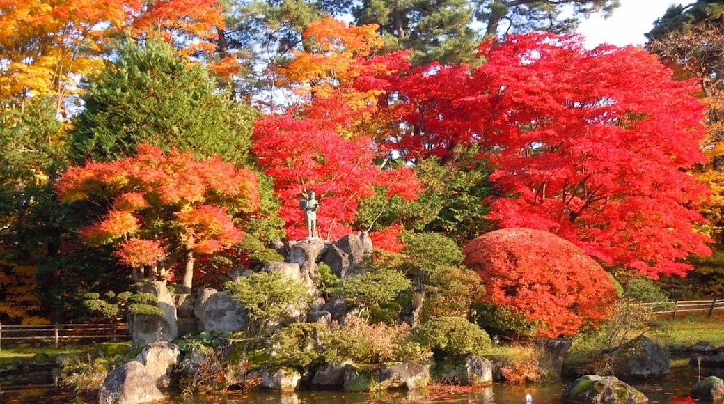Feri88 님의 "히로사키 공원" 사진(CC BY) / 원본에서 잘라냄