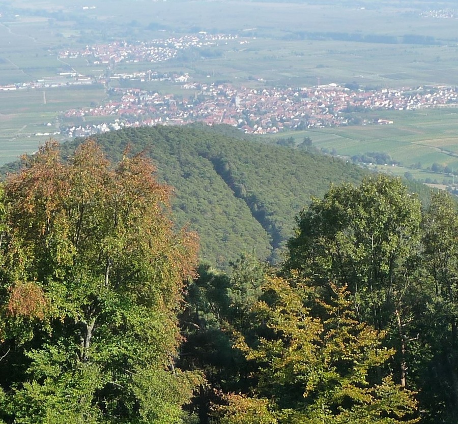 Kalmit