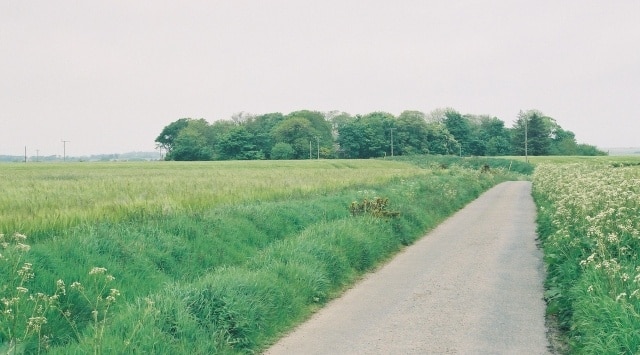 Tillyfauld, there is a ruined kirk and a cemetry between the trees in the background.