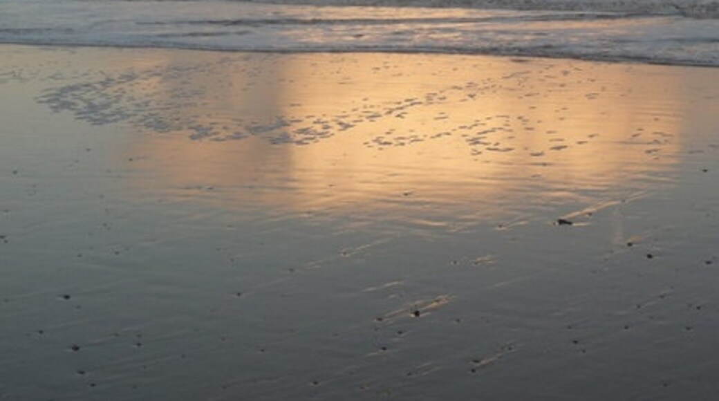Chris Downer (CC BY-SA) 的「戈爾斯頓海灘」相片 / 由原圖裁切