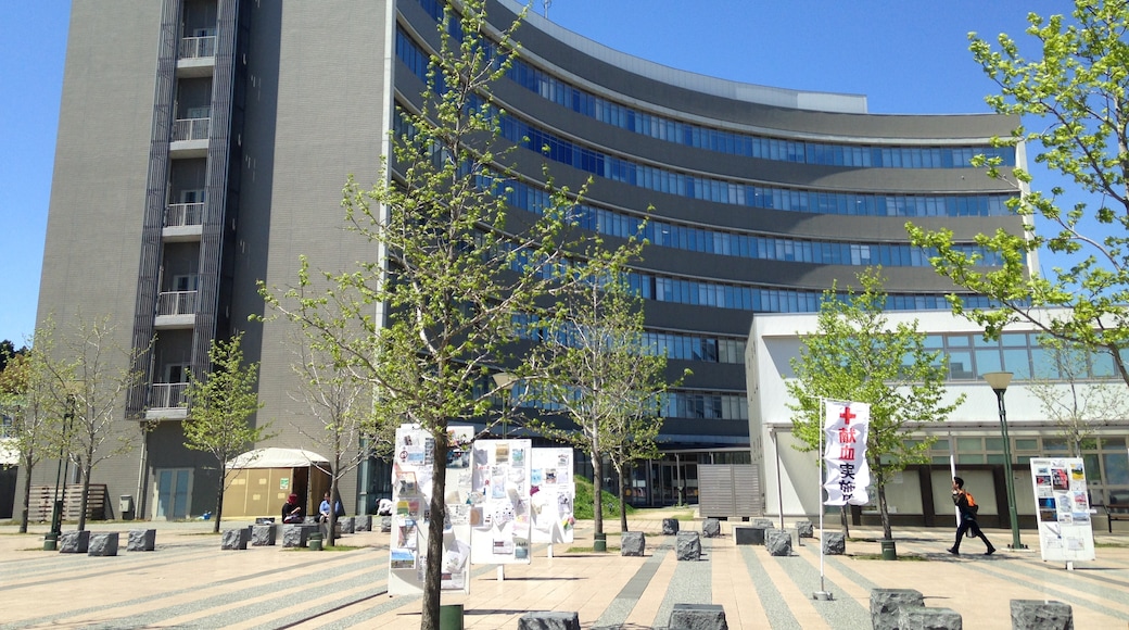 "Kyushus universitet"-foto av そらみみ (CC BY-SA) / Urklipp från original