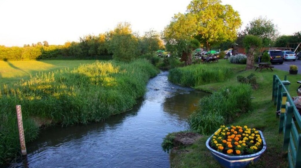 Photo "Shabbington" by Steve Daniels (CC BY-SA) / Cropped from original