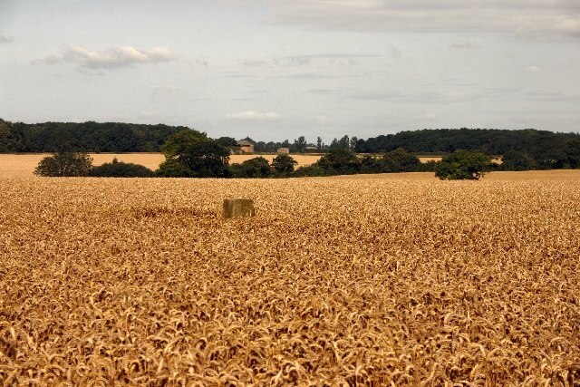 Ảnh "Barrow" của Bob Jones (CC BY-SA) / Cắt từ ảnh gốc