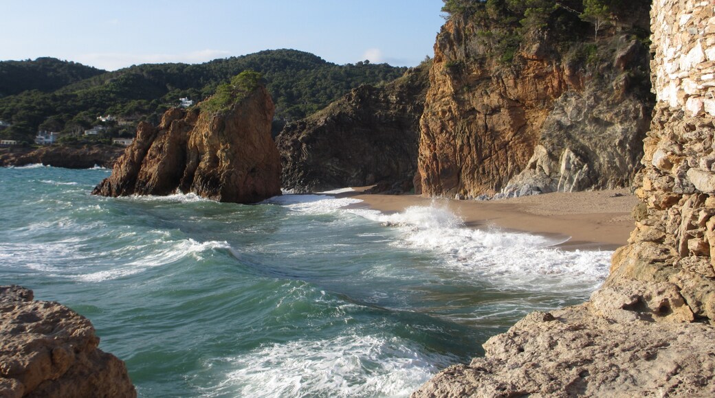 Photo "Platja de L'Illa Roja" by andre oortgijs (CC BY-SA) / Cropped from original