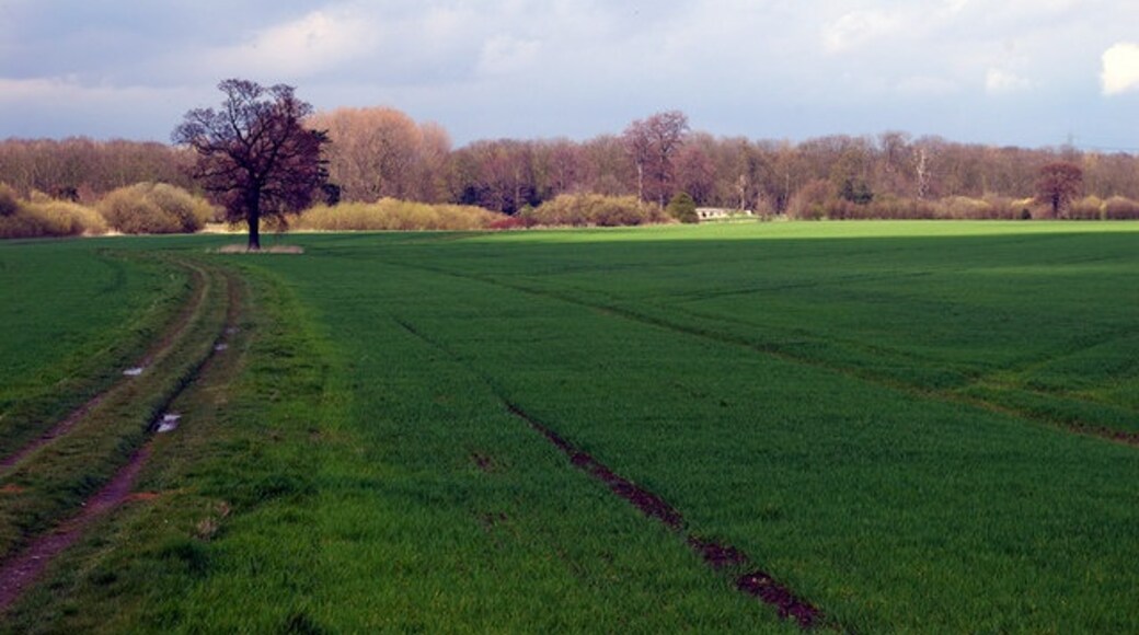 Kuva ”Brocklesby” käyttäjältä David Wright (CC BY-SA) / rajattu alkuperäisestä kuvasta