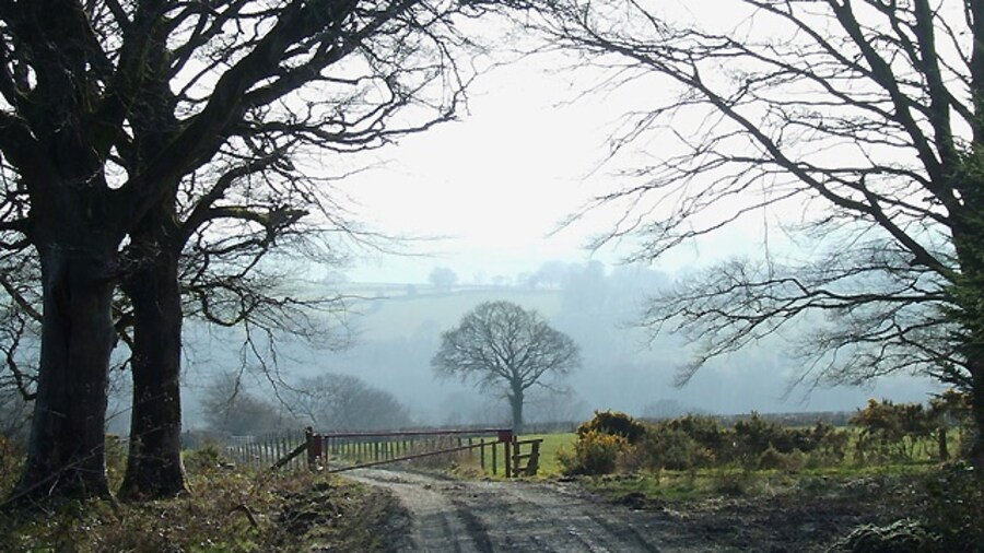 Photo "Leaving Deri Lodge Wood, Ceredigion On a late winter afternoon following a glorious day, the lengthening shadows of the woodland fringe contrast with the brightly lit pastures beyond and the developing mists." by Roger Kidd (Creative Commons Attribution-Share Alike 2.0) / Cropped from original