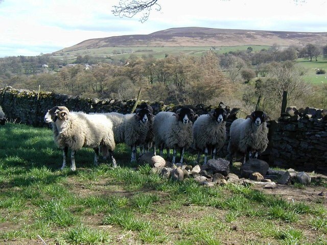 Photo "Caldbergh with East Scrafton" by Jeremy Howat (CC BY-SA) / Cropped from original