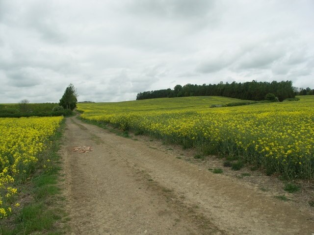 Foto „Lamport“ von Richard Williams (CC BY-SA)/zugeschnittenes Original