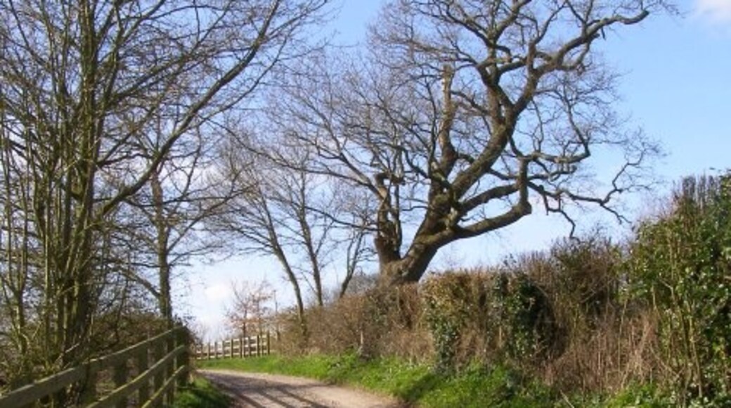 Photo "Compton and Shawford" by Jim Champion (CC BY-SA) / Cropped from original