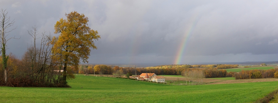Farmhouse of Charriaud and woods of Labrousse, seen from D 137, Saint-Romain, Charente, France.