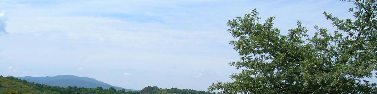 Photo "Encoro no río Mao" by manolofeal (Creative Commons Attribution-Share Alike 3.0) / Cropped from original