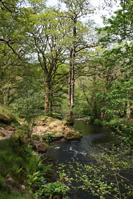 The River Walkham west of Bedford Bridge A rough footpath meanders along the left (southern) bank of the river.