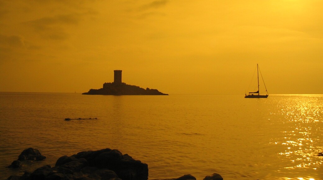 Photo "Île d'Or" by Rolland.franck (page does not exist) (CC BY-SA) / Cropped from original
