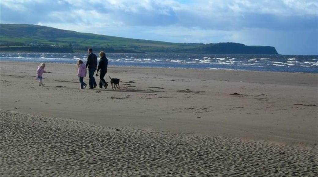 Foto "Pantai Ayr" oleh Mary and Angus Hogg (CC BY-SA) / Dipotong dari foto asli