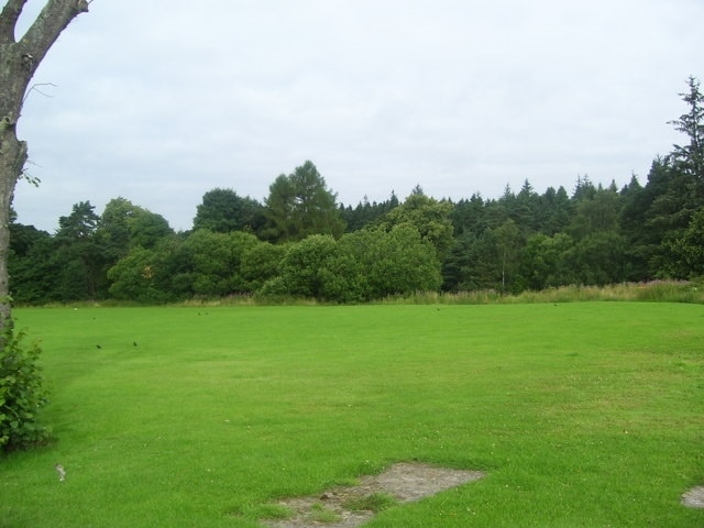 Grassed area and Woodland near North Dryburgh Road