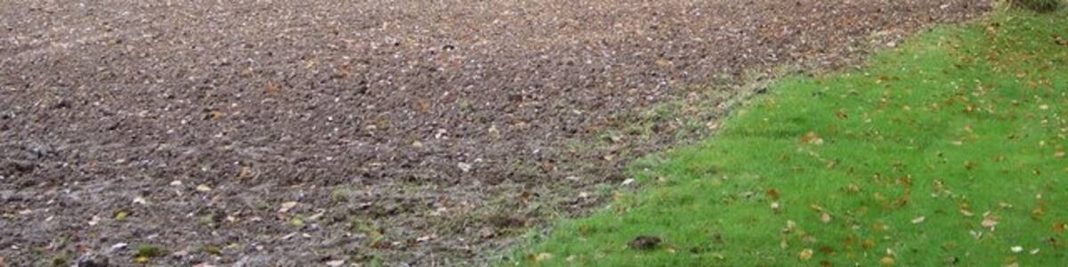 Photo "Autumn Colour, Tarrant Gunville A stand of beech trees turning to wonderful autumn colours." by Trish Steel (Creative Commons Attribution-Share Alike 2.0) / Cropped from original