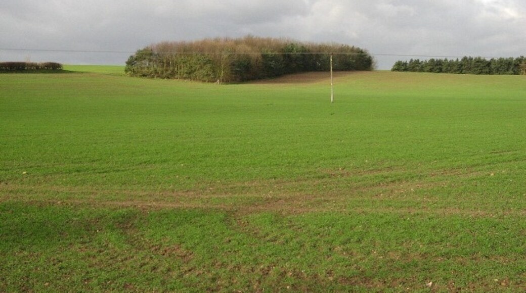 Photo "Beelsby" by Roger Gilbertson (CC BY-SA) / Cropped from original