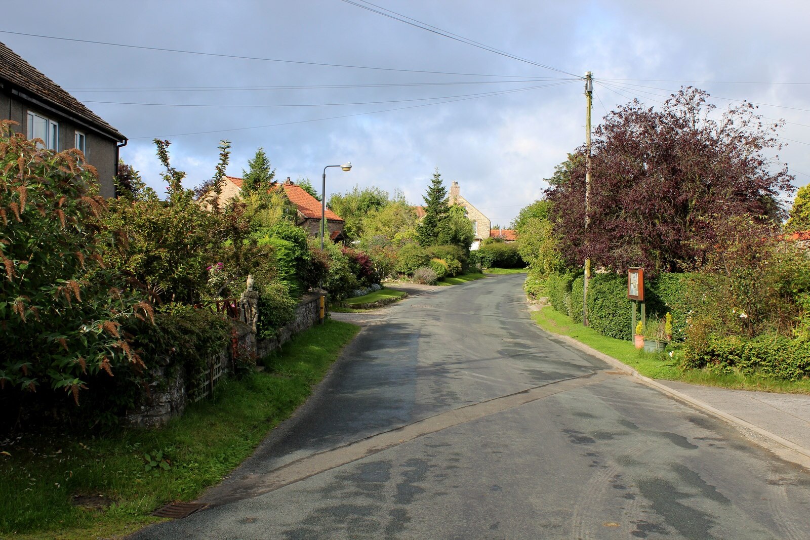 Photo "Thirn" by Chris Heaton (CC BY-SA) / Cropped from original