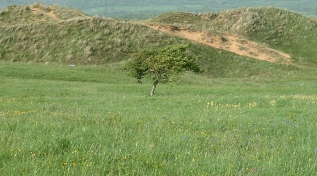 Photo "Kenfig" by Chris Shaw (CC BY-SA) / Cropped from original