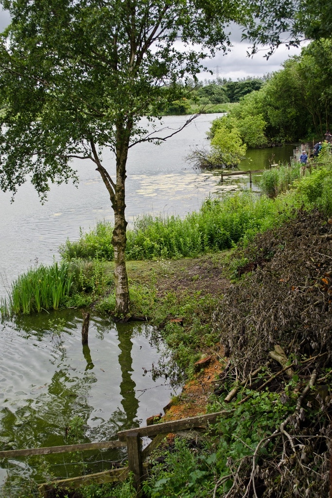 Foto "Blackleach Country Park" por SG2012 (CC BY) / Recortada de la original