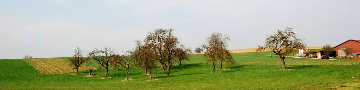 Photo "Obstgarten" by Clemens Pohl (Creative Commons Attribution-Share Alike 3.0) / Cropped from original