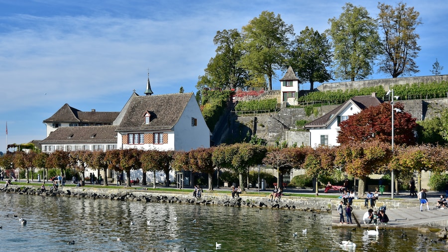 Photo "Lakeshore at Endingen in Rapperswil (Switzerland) : Einsiedlerhaus and de:Endingerturm, Lindenhof hill and the castle (Schloss) in the background, as seen from Zürichsee-Schiffahrtsgesellschaft (ZSG) paddle steamer Stadt Zürich on Zürichsee" by Roland zh (Creative Commons Attribution-Share Alike 3.0) / Cropped from original