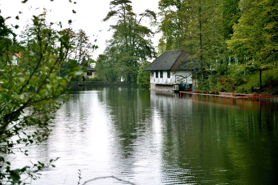 Kindsbach, pond in the Bärenloch