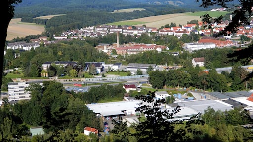 Billede "Osterode am Harz" af Migebert (CC BY-SA) / beskåret fra det originale billede
