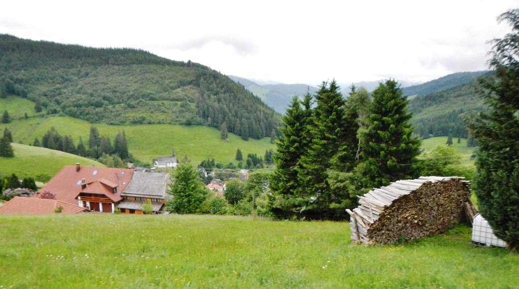 Photo "Hofsgrund" by qwesy qwesy (CC BY) / Cropped from original