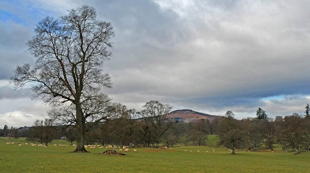 Photo "Muthill" by Dr Richard Murray (CC BY-SA) / Cropped from original