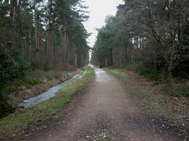 Photo "West Moors" by Mike Faherty (CC BY-SA) / Cropped from original