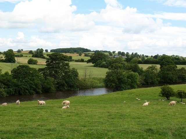 Ảnh "Thornton Steward" của Gordon Hatton (CC BY-SA) / Cắt từ ảnh gốc