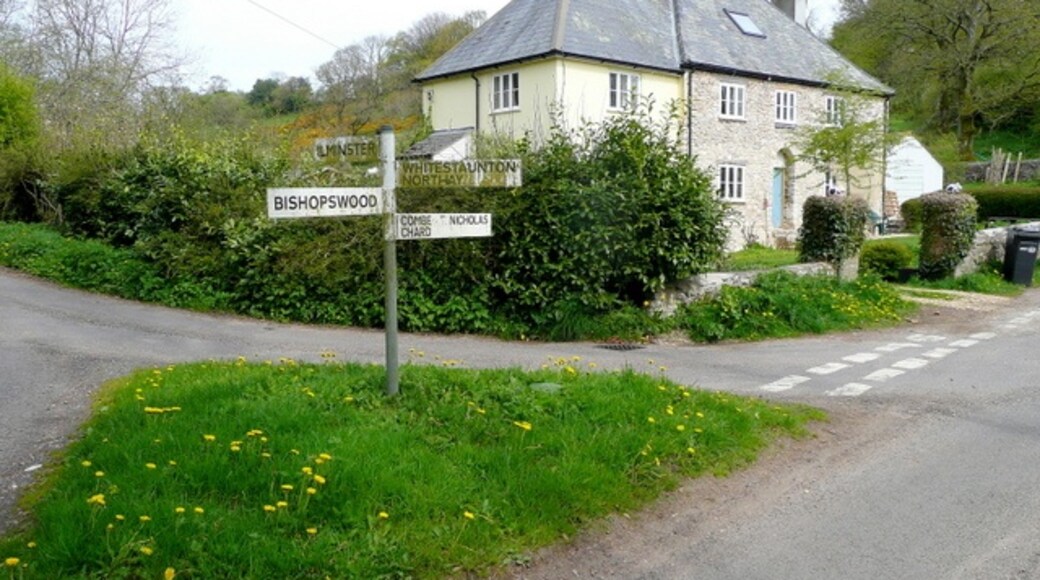 "Whitestaunton"-foto av Jonathan Billinger (CC BY-SA) / Urklipp från original