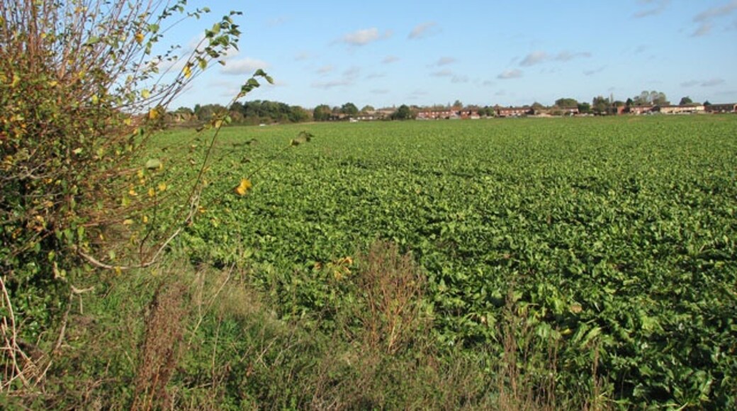Foto „Poringland“ von Evelyn Simak (CC BY-SA)/zugeschnittenes Original