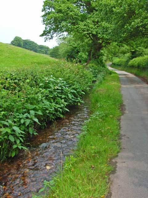 Roadside stream at Moddershall. This stream runs down to Moddershall Mill SJ9136