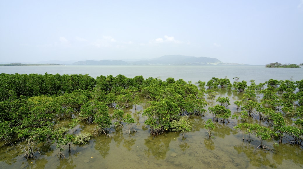 Foto “Isla Kohama” tomada por Ken FUNAKOSHI (CC BY-SA); recorte de la original